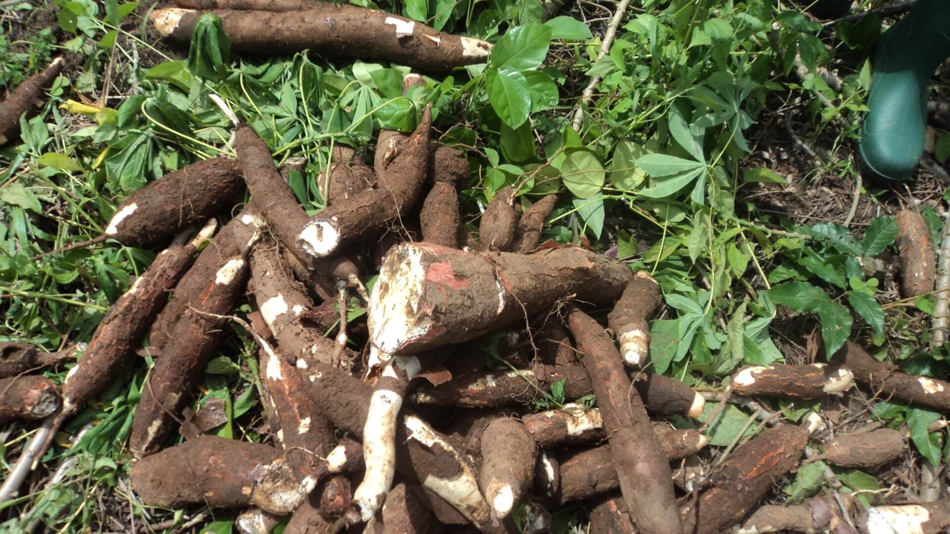 2021 LASCOFED Leaders Con thumb 3